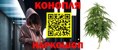 гидропоника Гусиноозёрск