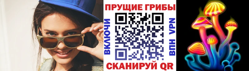 Псилоцибиновые грибы Psilocybe  Мелеуз 