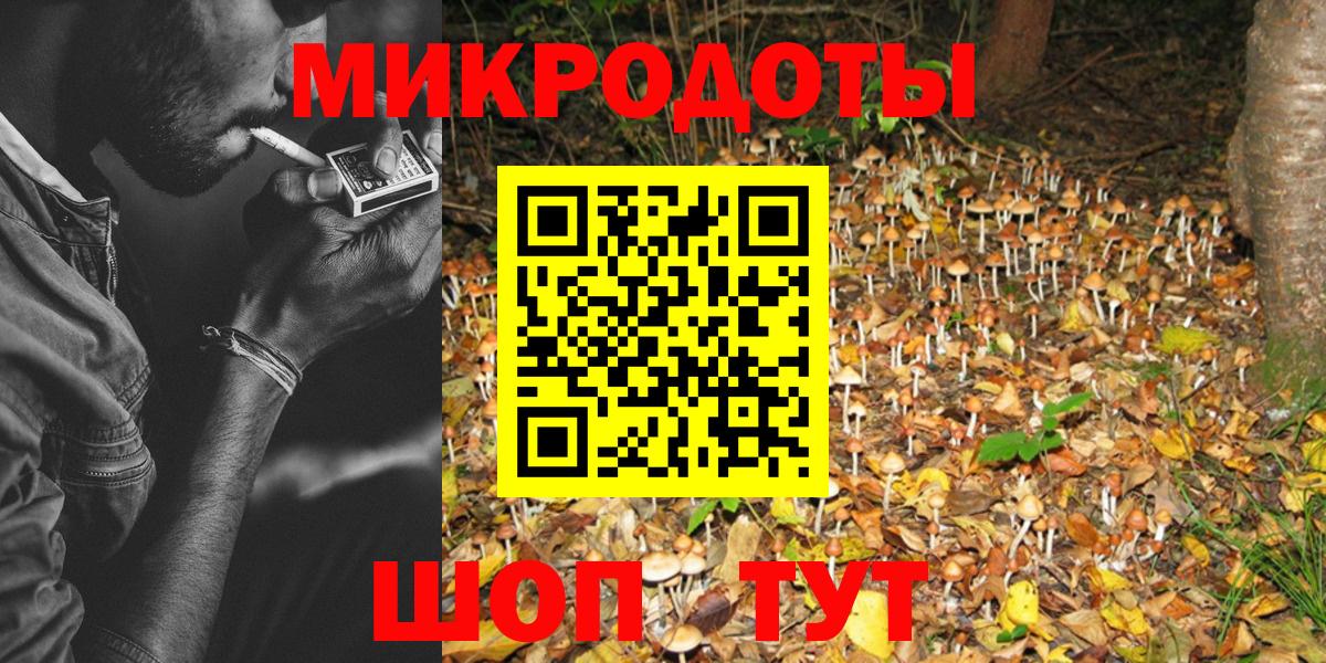 Псилоцибиновые грибы Psilocybine cubensis Мелеуз